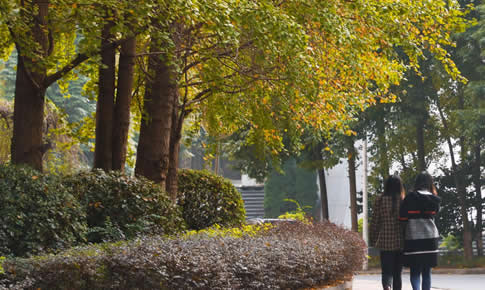 9428cn太阳集团古天乐